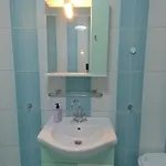 Casa Olandeza ゲストハウス コルブ