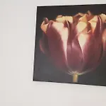 ゲストハウス Casa Olandeza *