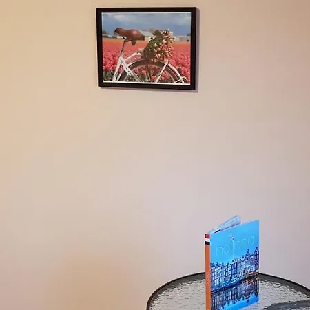 Casa Olandeza كوربو