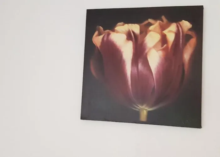 Gasthof Casa Olandeza *