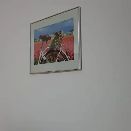 Pensión Casa Olandeza Corbu (Constanta)