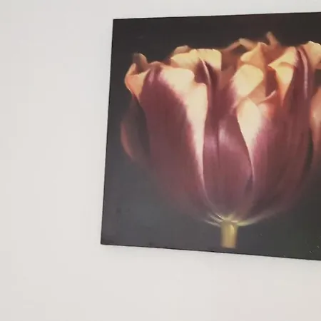 Pensión Casa Olandeza *